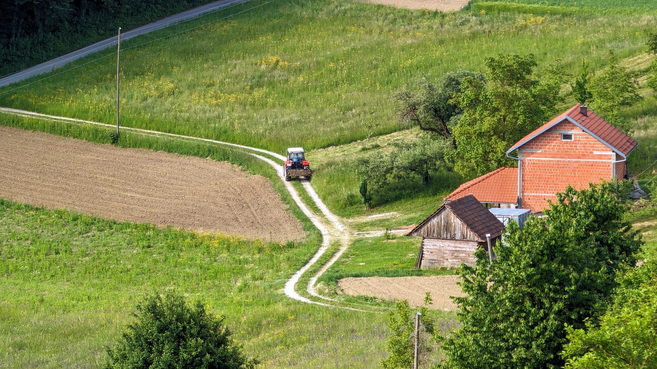 služnostna pot