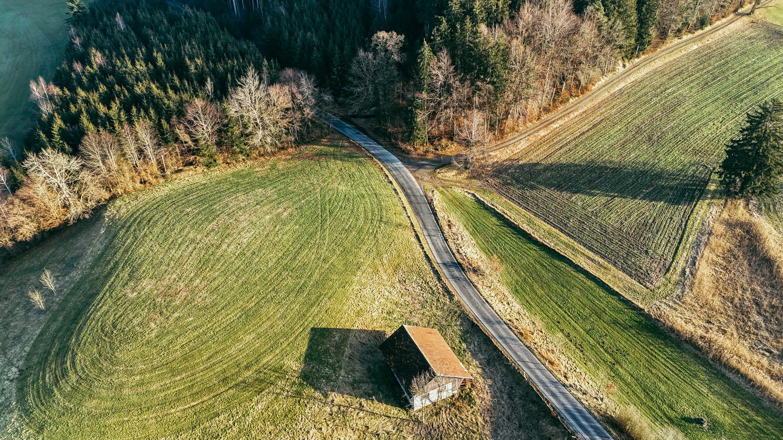 služnost